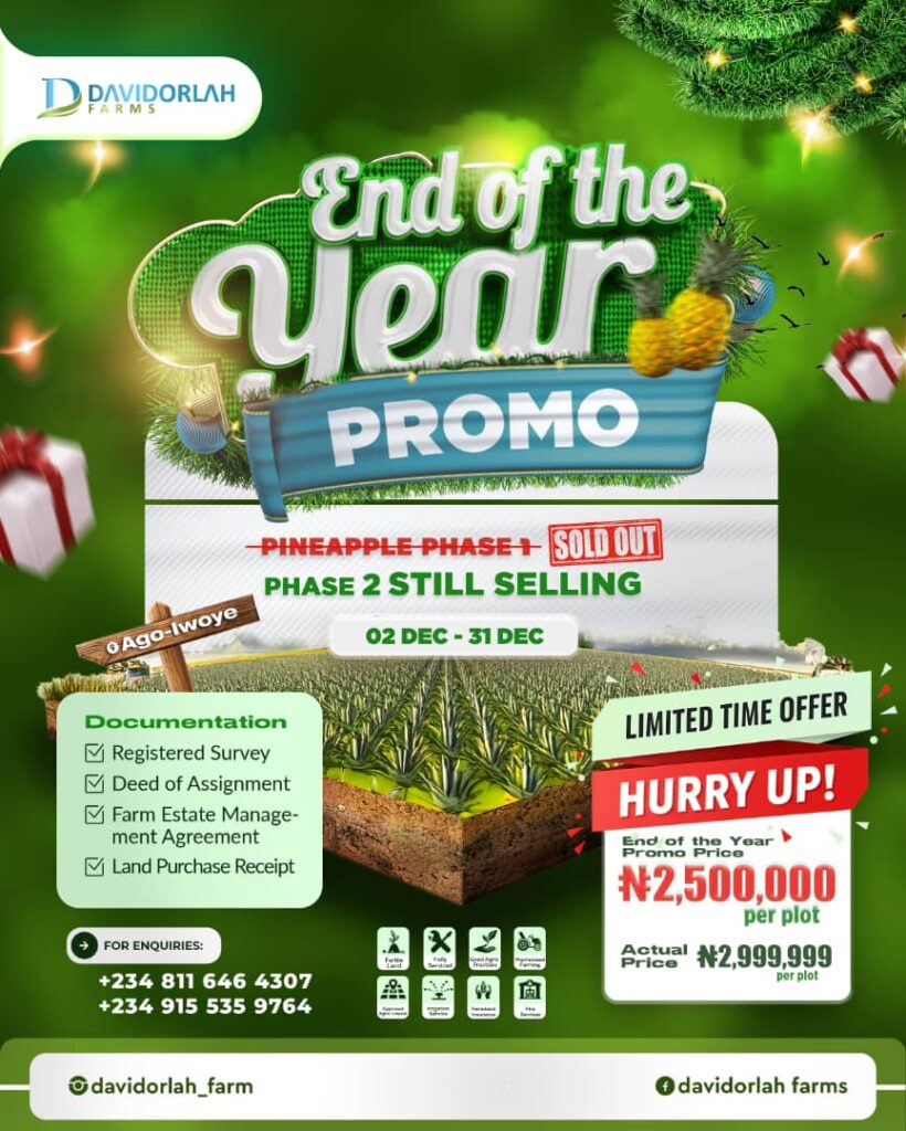 End of the Year Promo Davidorlah Farms